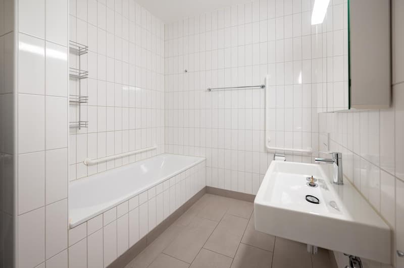 Your new home in the heart of Zurich (5)
