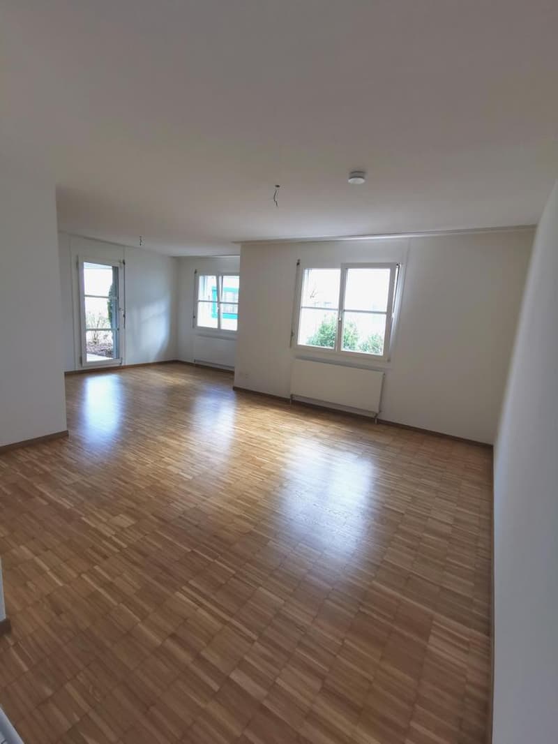 Schöne helle 1.5-Zimmerwohnung an ruhiger Lage (2)