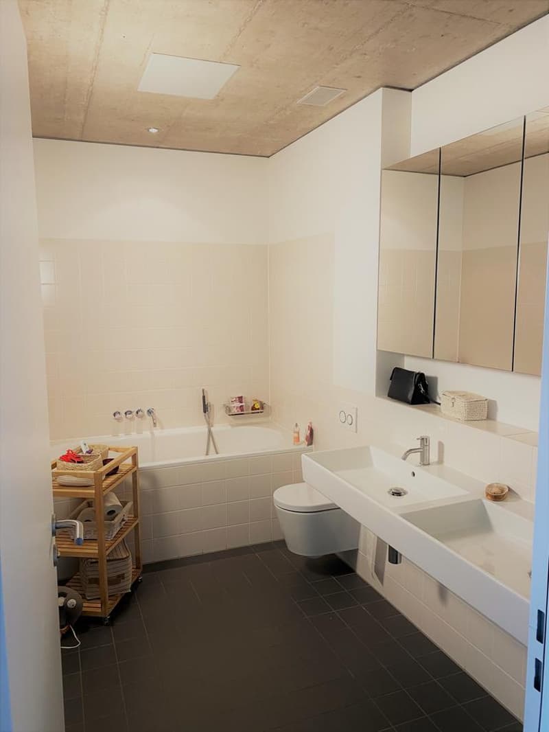 Modern maisonette apartment with large roof terrace (4)