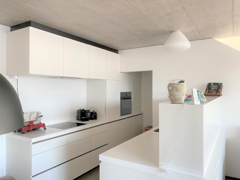 Modern maisonette apartment with large roof terrace (3)