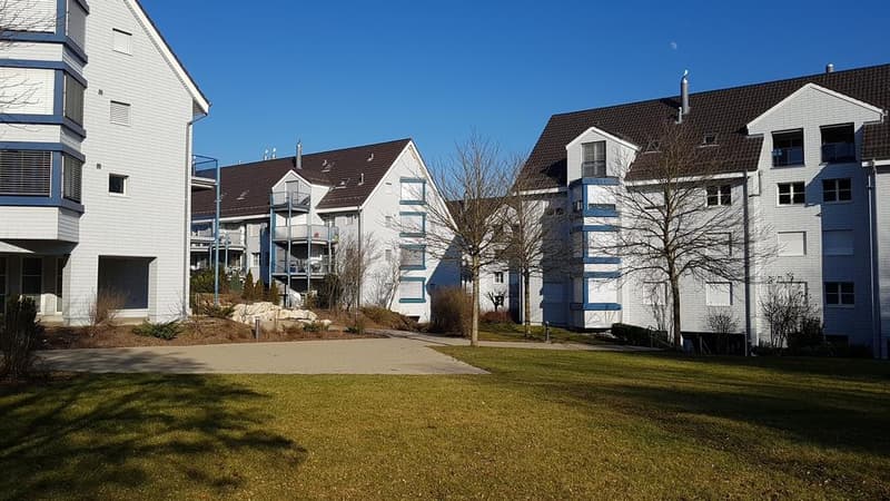 Schöne helle 2.5-Zimmerwohnung an ruhiger Lage (1)