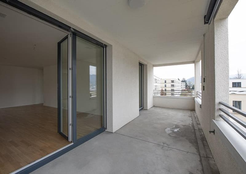 Spacious 4.5 room apartment in a quiet location (7)