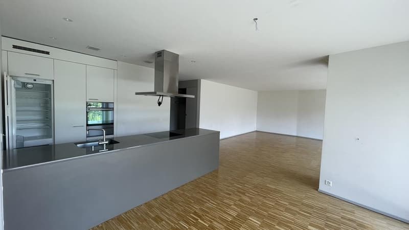 Habitation moderne au cœur de Zürich Oerlikon (2)
