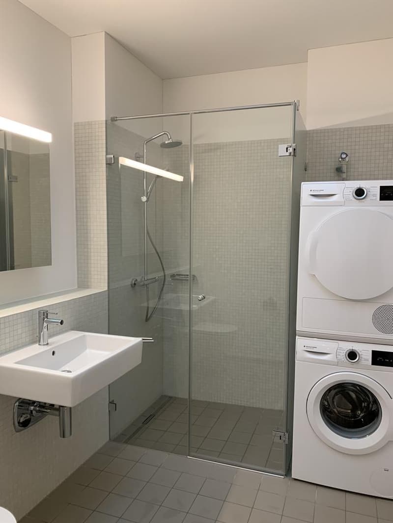 Looking for an attic apartment in vibrant District 4? (5)