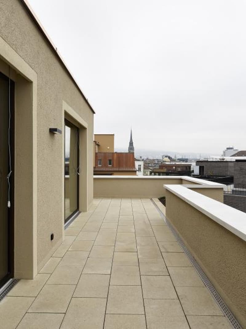 Looking for an attic apartment in vibrant District 4? (6)