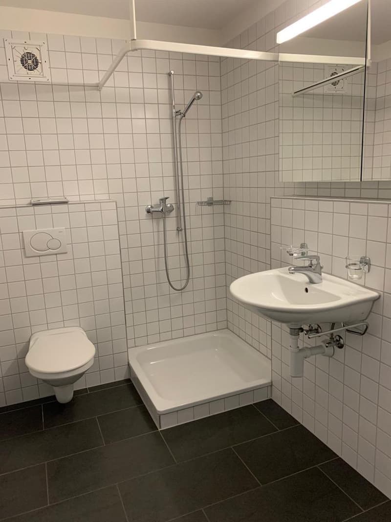 Die perfekte Single-Wohnung im Naherholungsgebiet Greifensee (6)