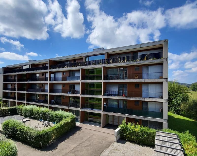 Die perfekte Single-Wohnung im Naherholungsgebiet Greifensee (1)