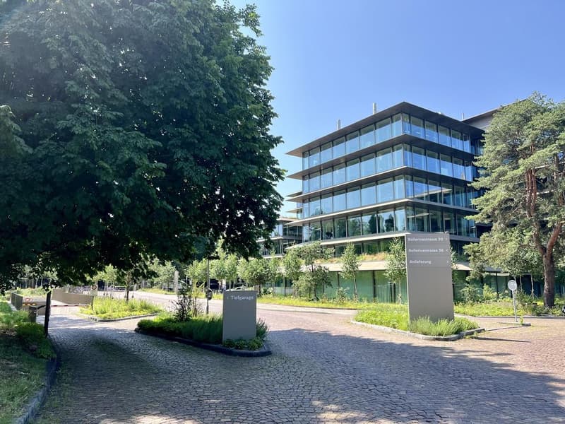 Parkmöglichkeit an zentraler Lage im Seefeld (1)
