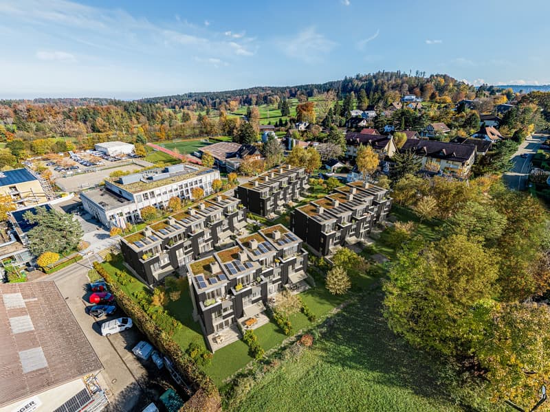 Sustainable living in a row house in Zumikon (4)