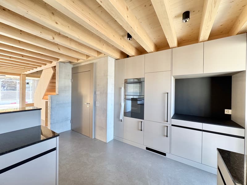 3.5 room house annex, lift, top renovation (3)