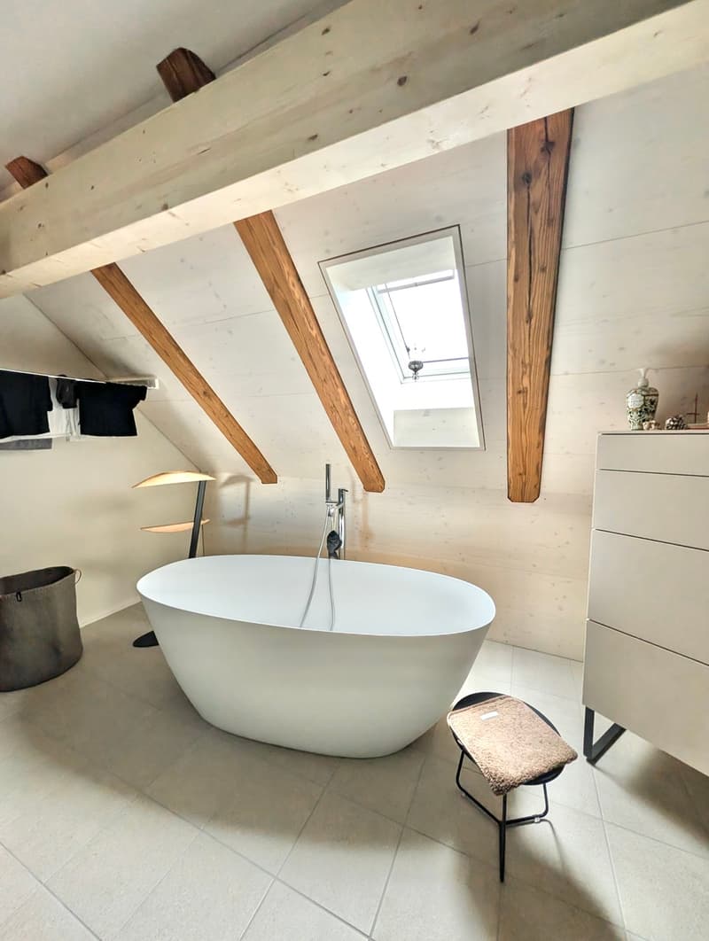 3.5 room house annex, lift, top renovation (4)