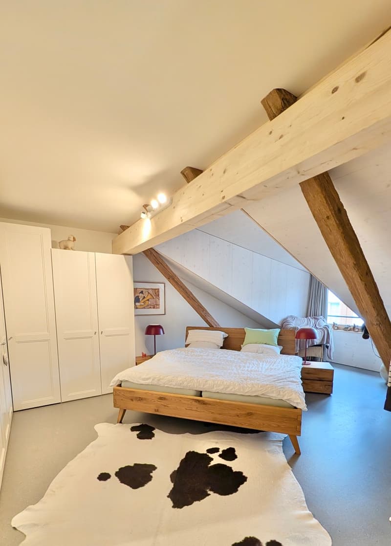 3.5 room house annex, lift, top renovation (7)