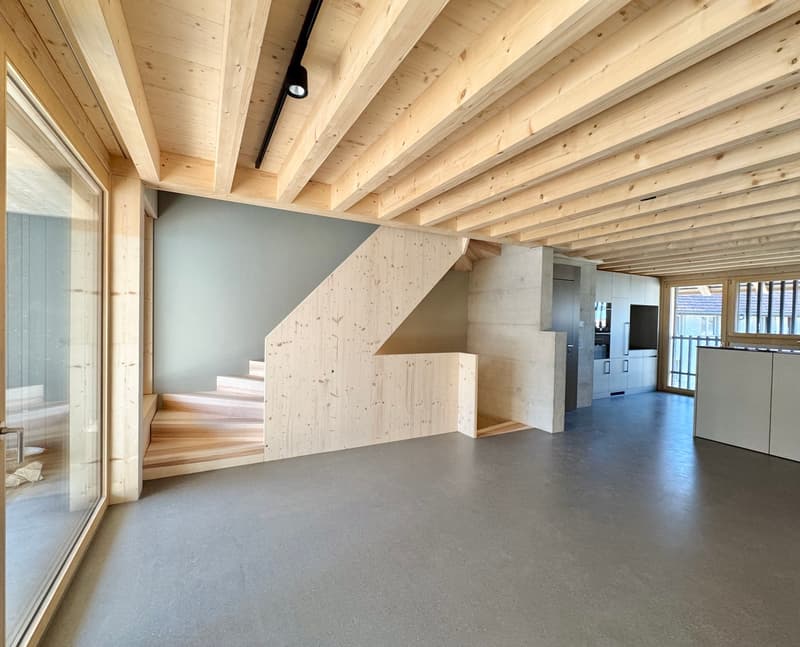 3.5 room house annex, lift, top renovation (2)