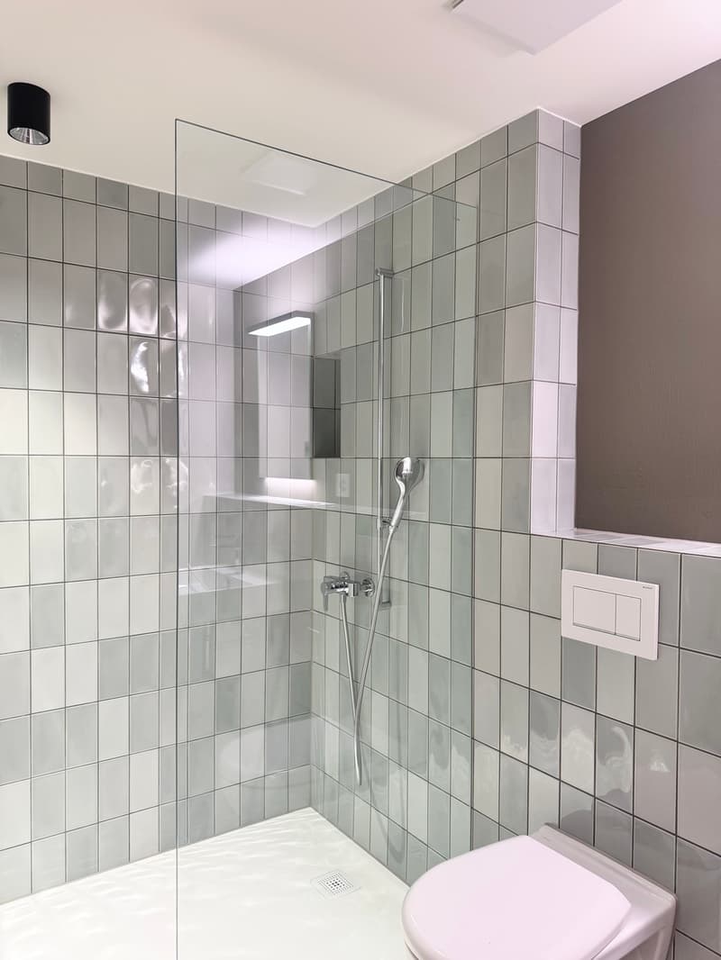 3.5 room house annex, lift, top renovation (5)
