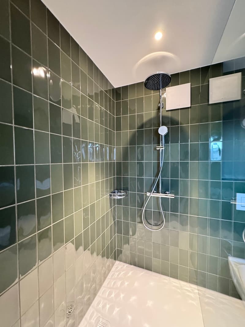 3.5 room house annex, lift, top renovation (6)