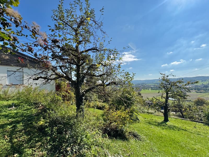 Terrain avec 1222 m2 constructible, maison unifamiliale avec vue panoramique (6)