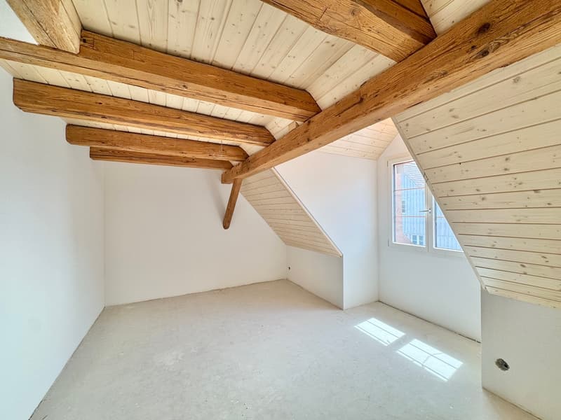 Appartement Maisonnette 5.5 Pièces avec Balcon/Terrasse - Première Occupation (2)