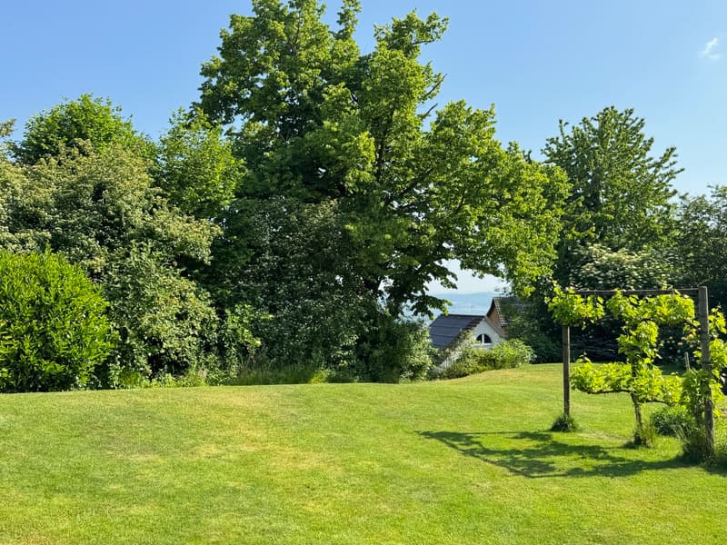 Maison mitoyenne soignée avec jardin de rêve et vue imprenable - pouvant être agrandie (3)