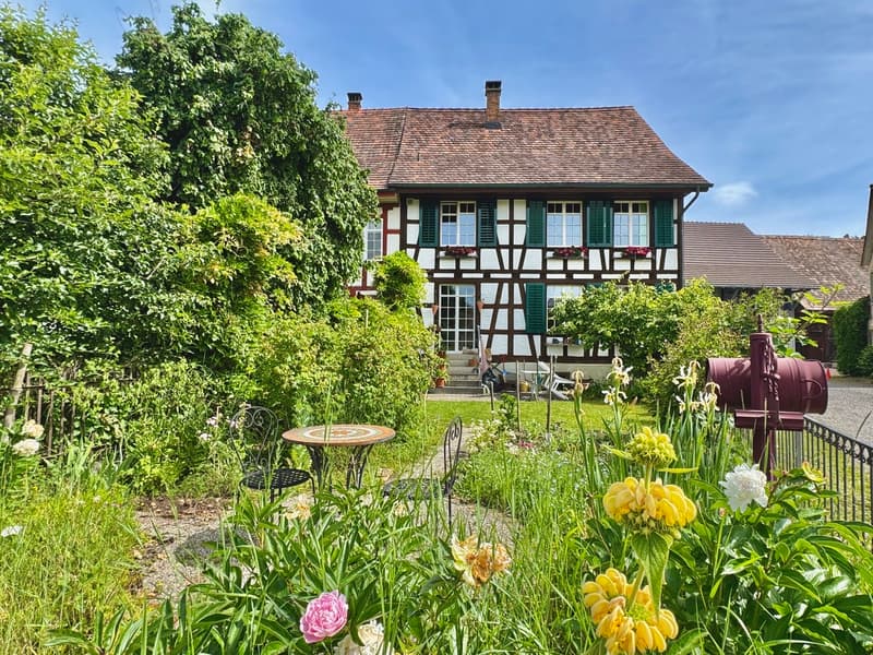 Well-maintained Riegelhaus jewel with garden (1)