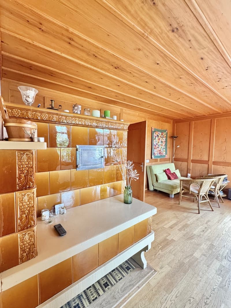 Well-maintained Riegelhaus jewel with garden (6)