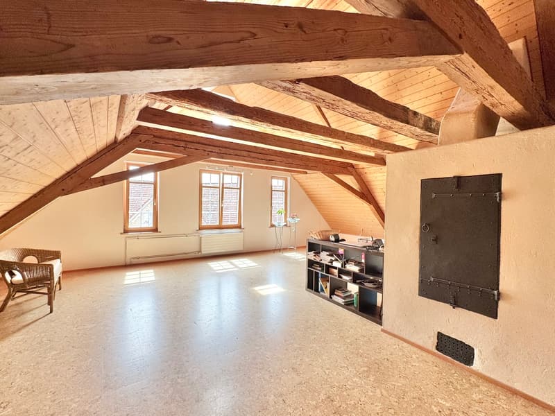 Well-maintained Riegelhaus jewel with garden (10)
