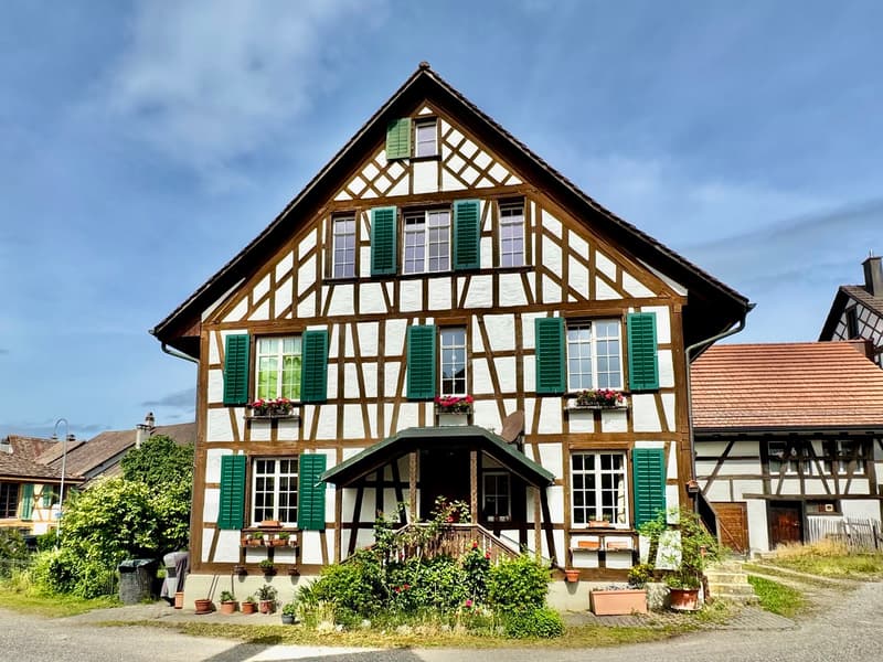 Well-maintained Riegelhaus jewel with garden (11)