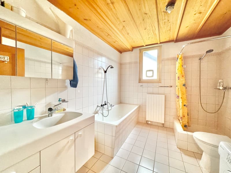 Well-maintained Riegelhaus jewel with garden (8)