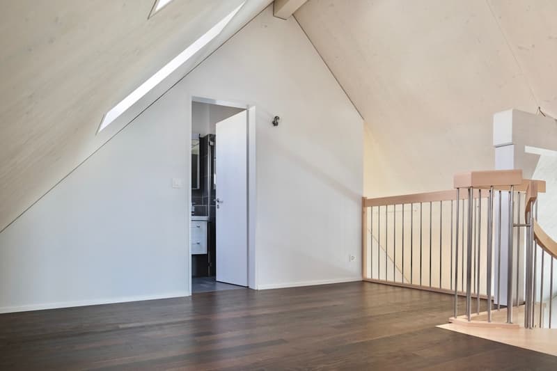 Erstklassige 4.5-Zi. Maisonette Dachwohnung (6)