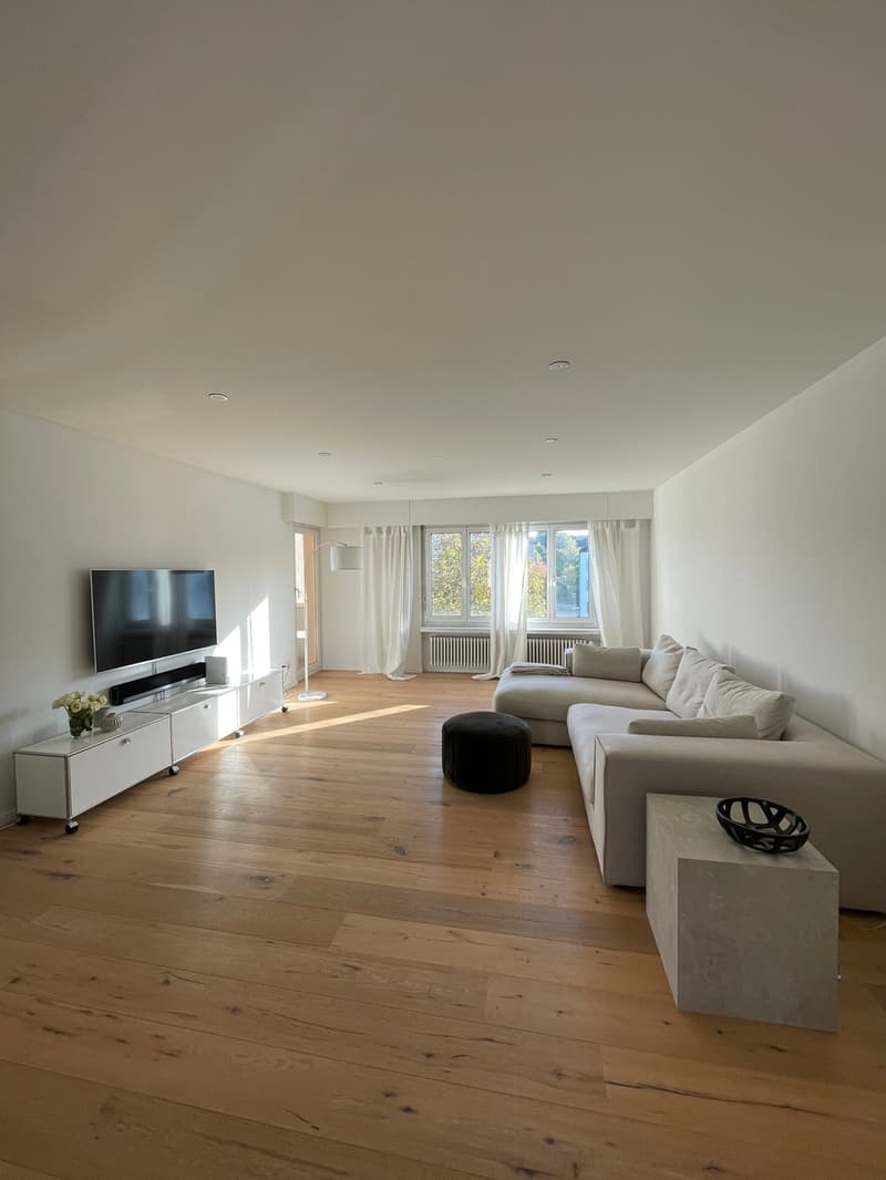 Modern 3.5 room attic apartment, 2 balconies, lift (4)