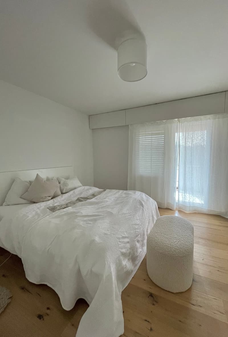 Modern 3.5 room attic apartment, 2 balconies, lift (7)