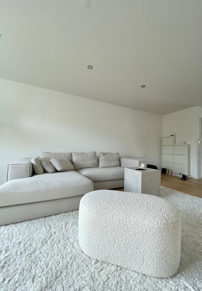 Modern 3.5 room attic apartment, 2 balconies, lift (3)
