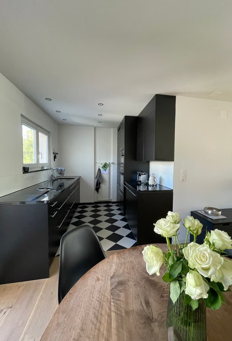 Modern 3.5 room attic apartment, 2 balconies, lift (2)