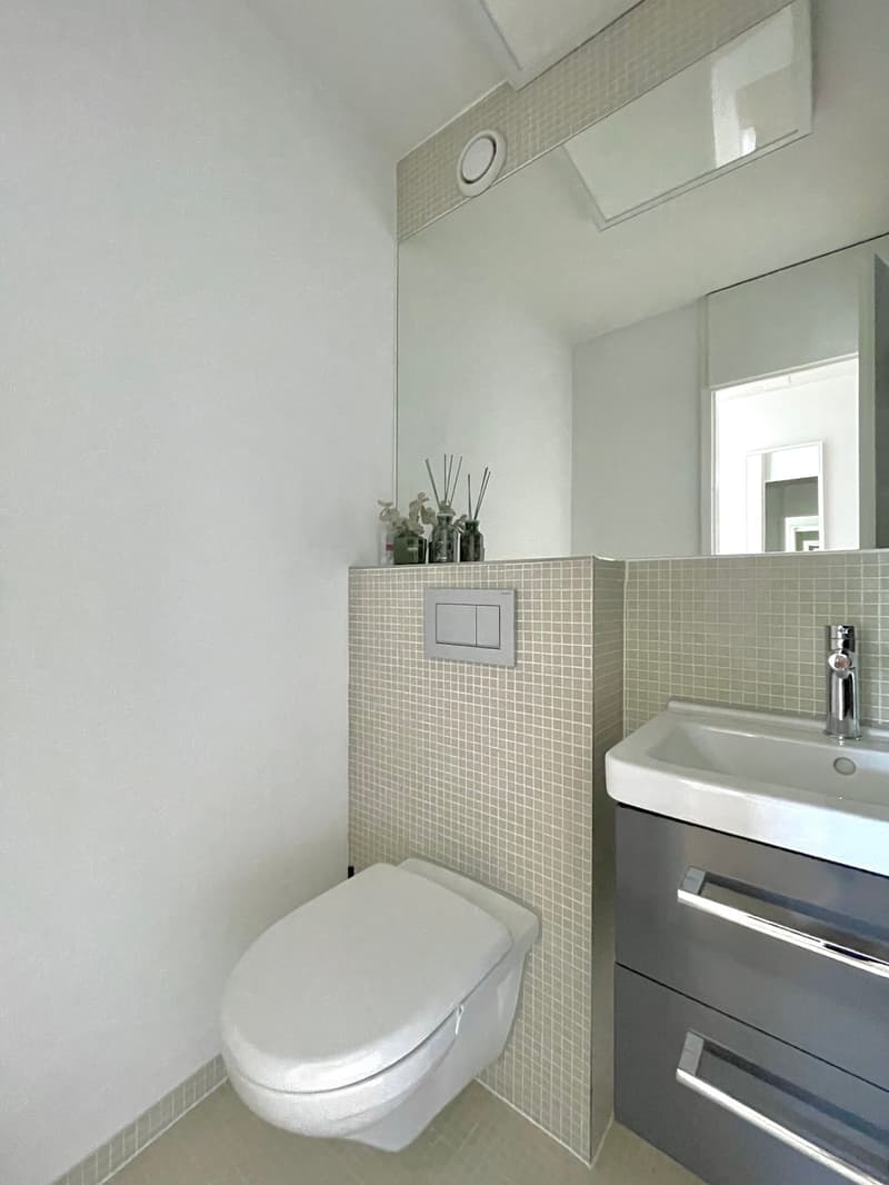3.5 room attic apartment, 2 balconies, lift - top location (8)