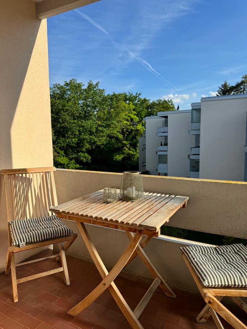 3.5 room attic apartment, 2 balconies, lift - top location (11)
