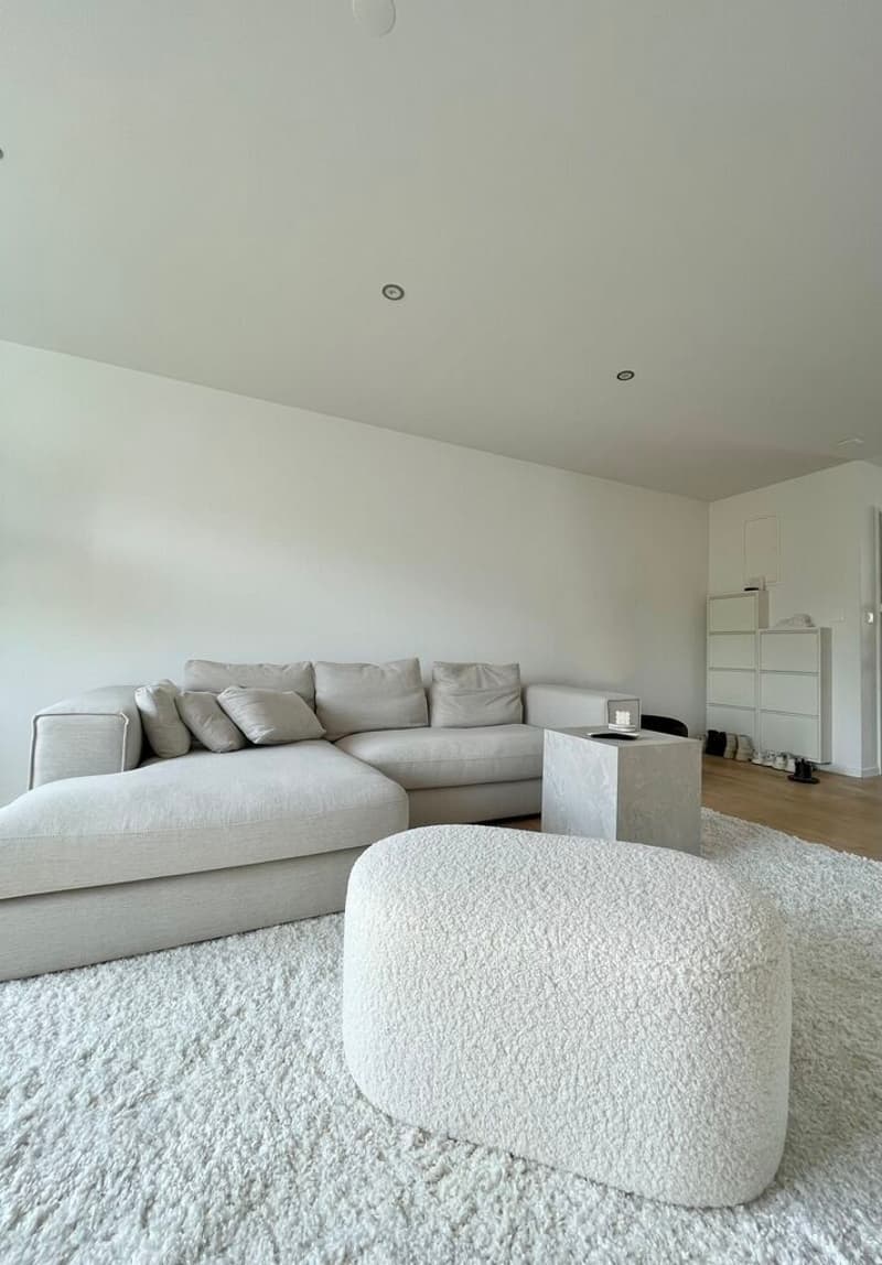 3.5 room attic apartment, 2 balconies, lift - top location (3)