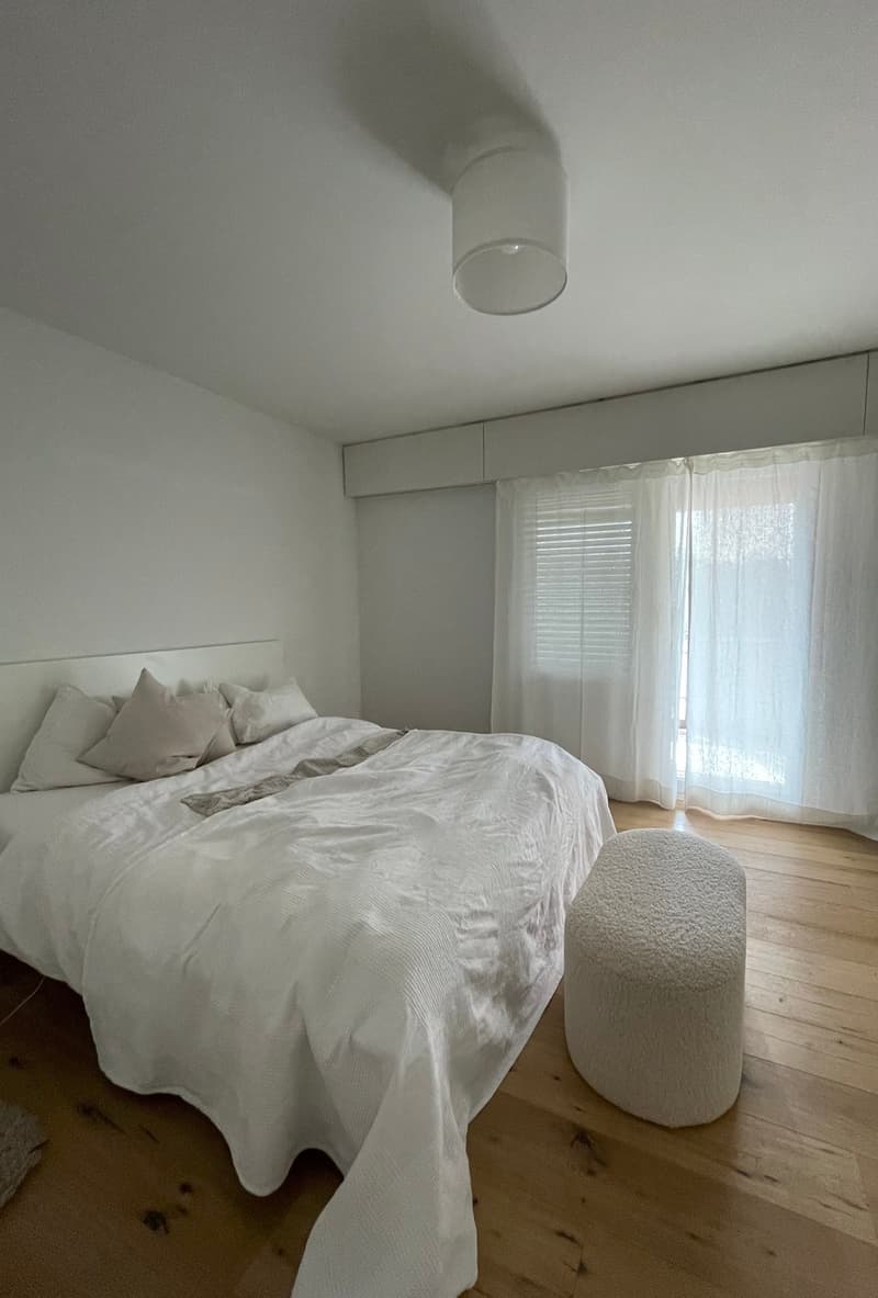 3.5 room attic apartment, 2 balconies, lift - top location (7)