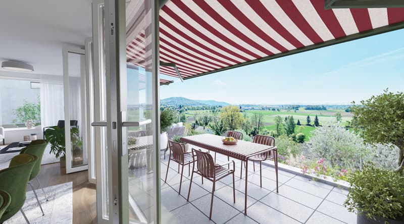 Moderne Architektur an bester Hanglage (1)