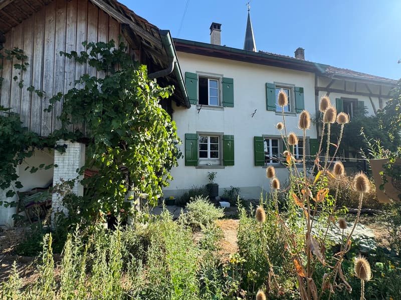 6.5 Zi. Riegelhaus mit grosser Scheune und Garten (8)