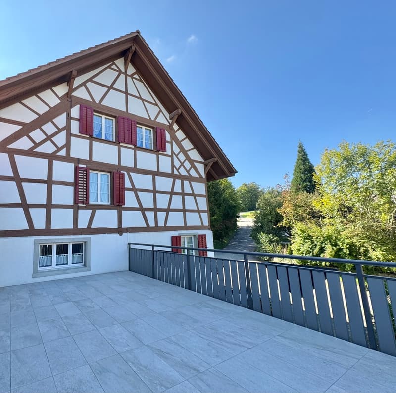 6.5 Zi. Riegelhaus mit Werkstatt/Stallung,Terrasse & Garten (1)