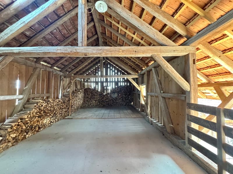 6.5 Zi. Riegelhaus mit Werkstatt/Stallung,Terrasse & Garten (13)