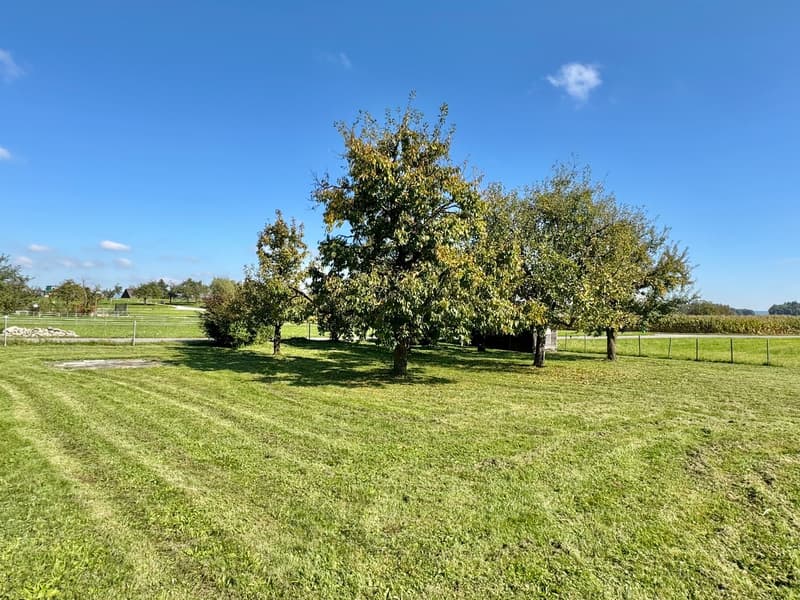 6.5 Zi. Riegelhaus mit Werkstatt/Stallung,Terrasse & Garten (2)