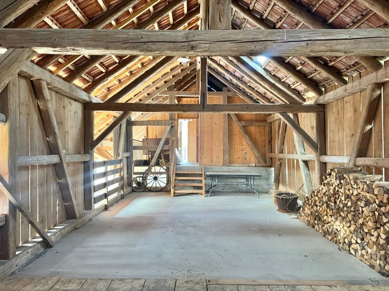 6.5 Zi. Riegelhaus mit Werkstatt/Stallung,Terrasse & Garten (12)