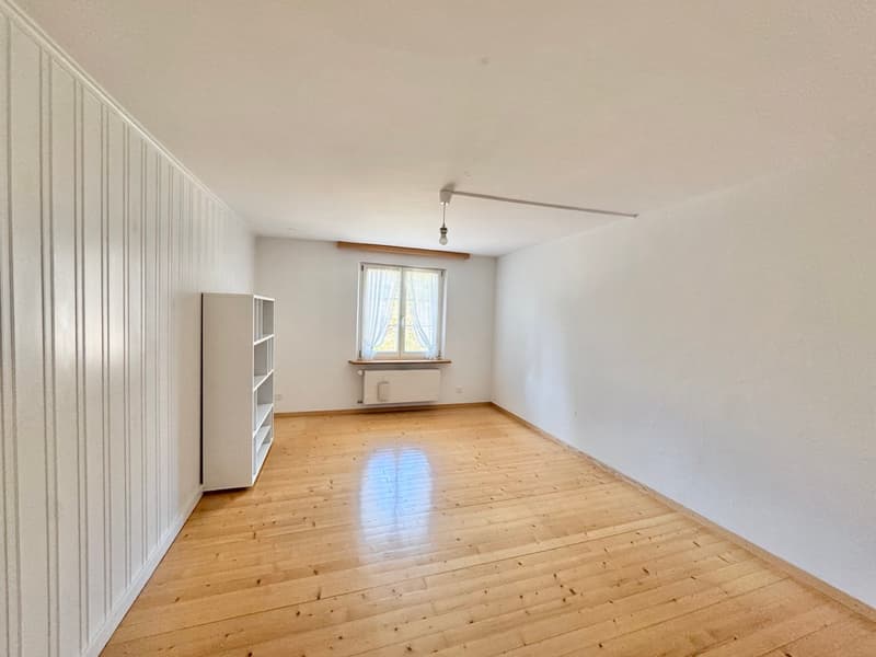 6.5 Zi. Riegelhaus mit Werkstatt/Stallung,Terrasse & Garten (8)