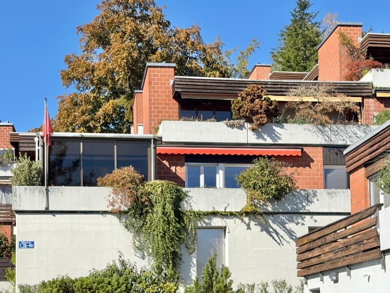 Sonnige Hanglage mit Rheinblick: 5.5-Zi. Terrassenhaus an ruhiger Lage (12)