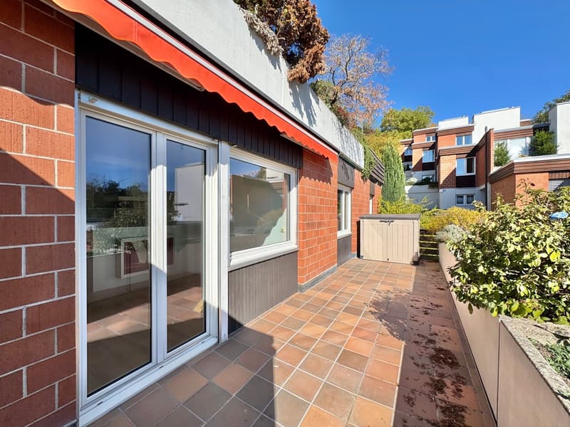 Sonnige Hanglage mit Rheinblick: 5.5-Zi. Terrassenhaus an ruhiger Lage (4)