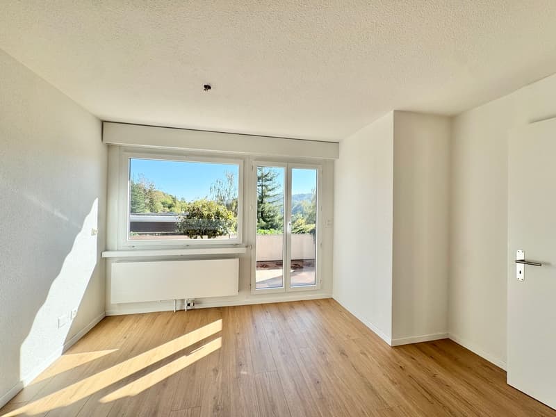 Sonnige Hanglage mit Rheinblick: 5.5-Zi. Terrassenhaus an ruhiger Lage (8)