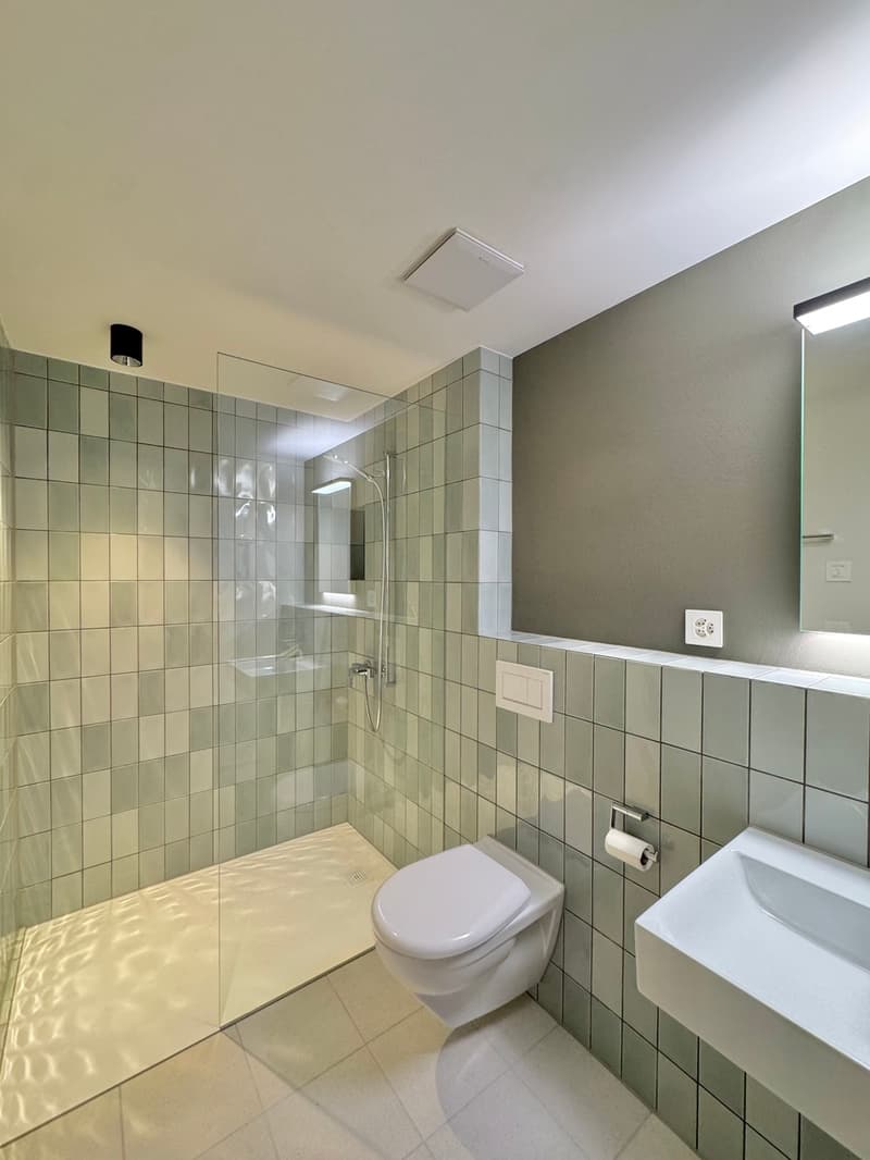 3.5 Zimmer Haus angebaut, Lift, Top Ausbau (7)