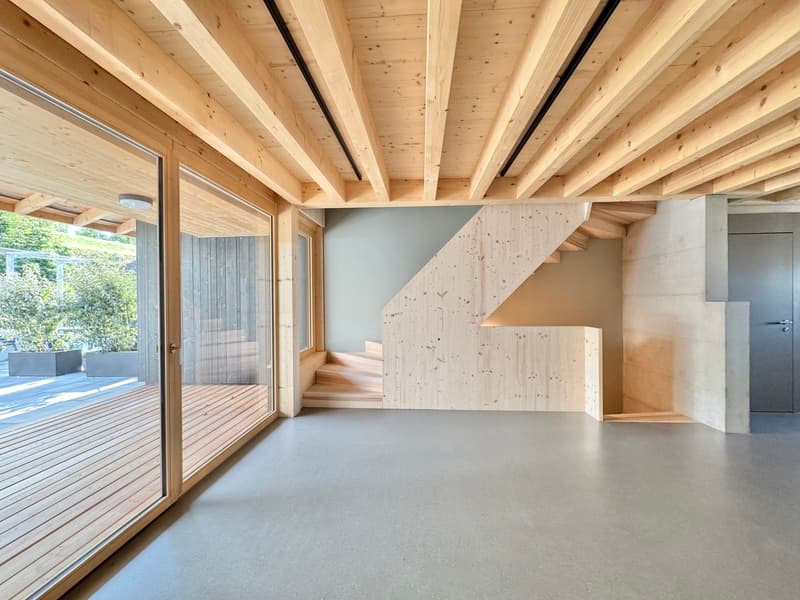 3.5 Zimmer Haus angebaut, Lift, Top Ausbau (4)