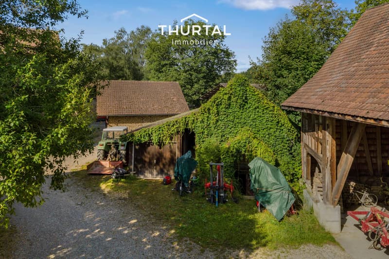 Two properties with garden, in natural surroundings (4)
