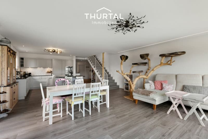 Modern living with a view of the Säntis (5)